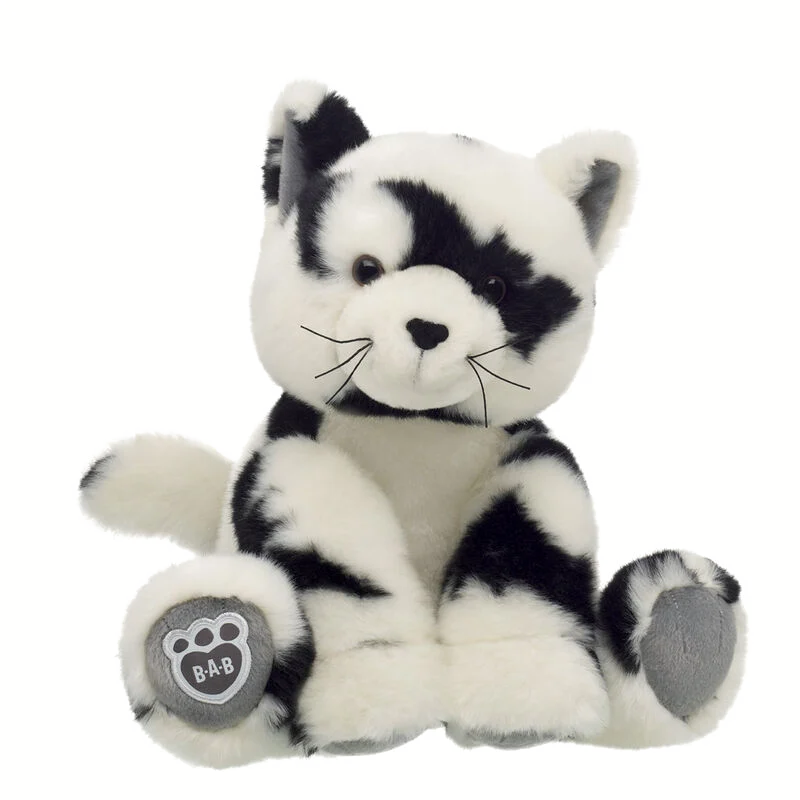 Raccoon Friend